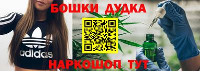 дмт Аргун