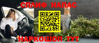шишки Апшеронск