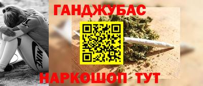 дмт Аргун