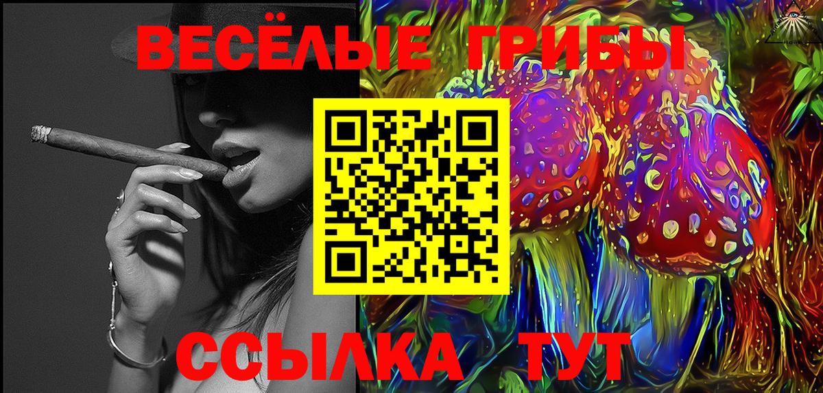 Галлюциногенные грибы Cubensis  Вход с VPN  Вольск 